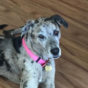 Meet your Posher, Carla